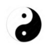 yin-yang